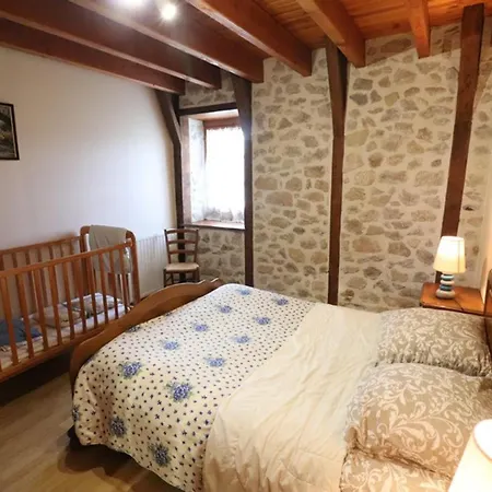 Maison De Charme Entre Monts Du Cantal Et Vallee Du Lot - Jardin, Internet, Animaux Acceptes - Fr-1-742-127 *